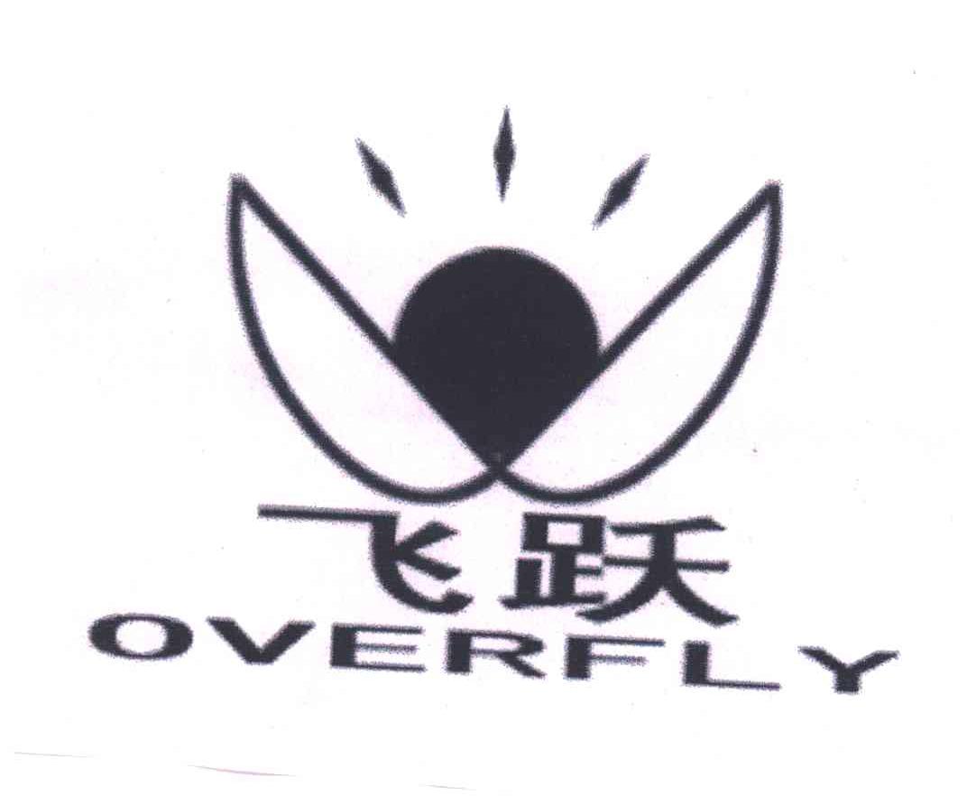 飞跃OVERFLY