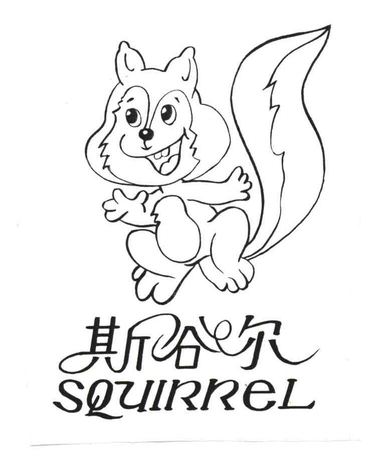 斯谷尔SQUIRREL