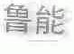 鲁能