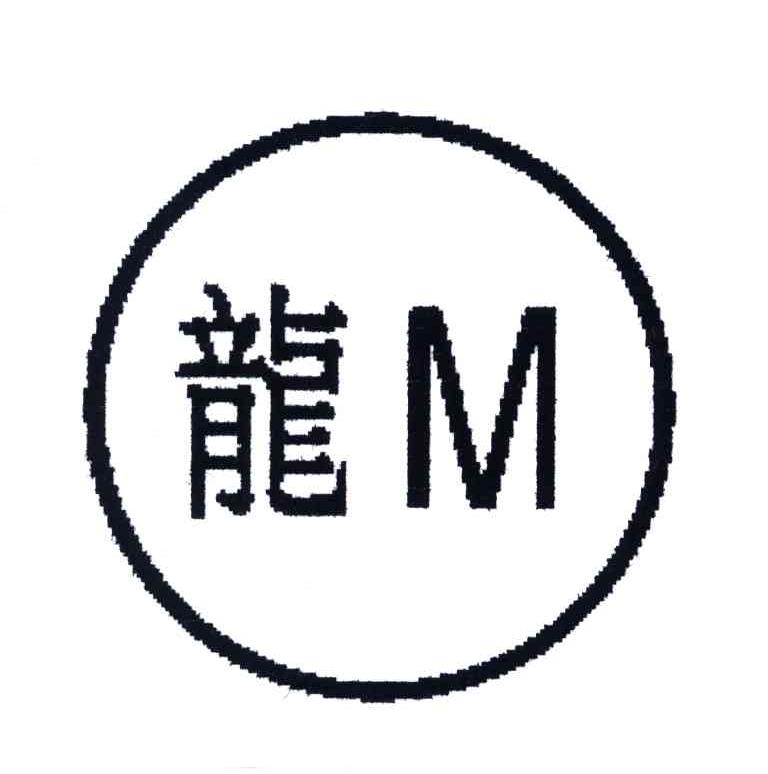 龙;M