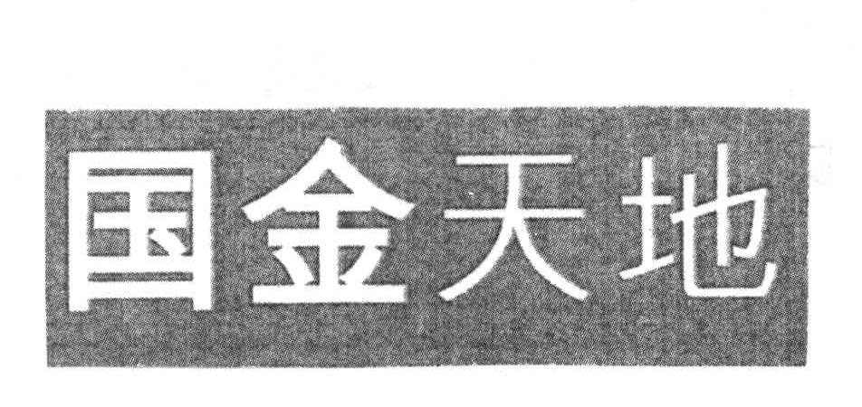国金天地