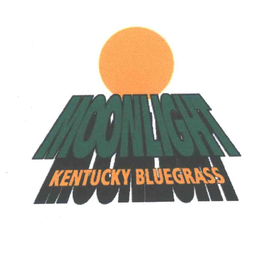 MOONLIGHT KENTUCKY BLUEGRASS