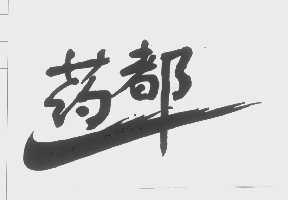 药都