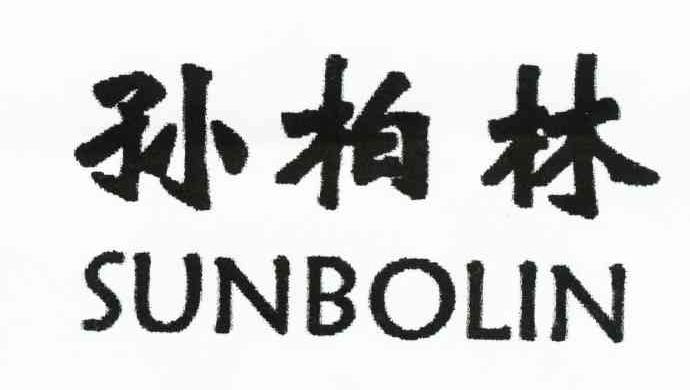 孙柏林