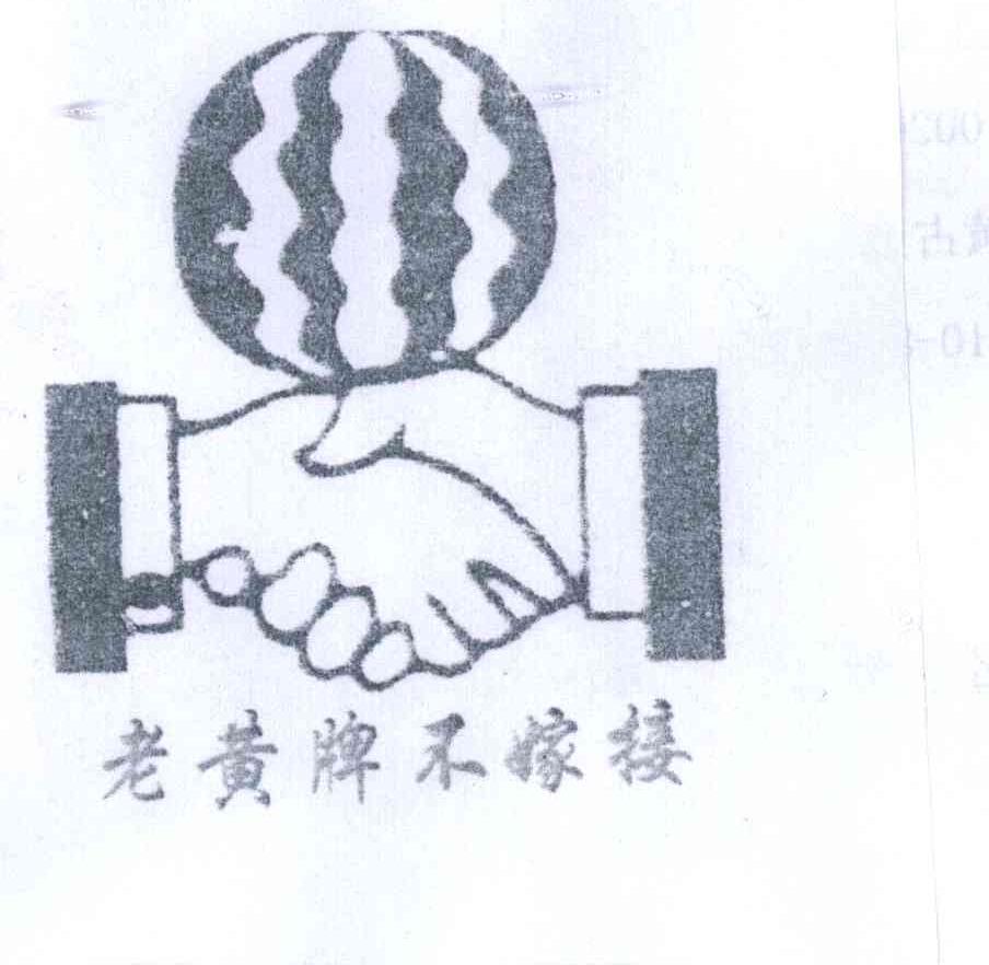 老黄牌不嫁接