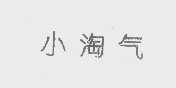 小淘气