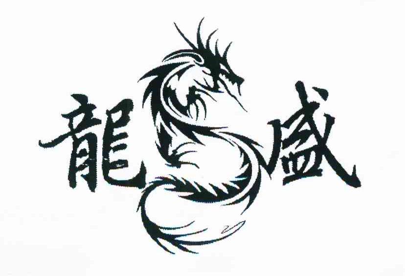 龙盛