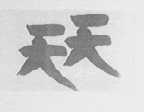 天天