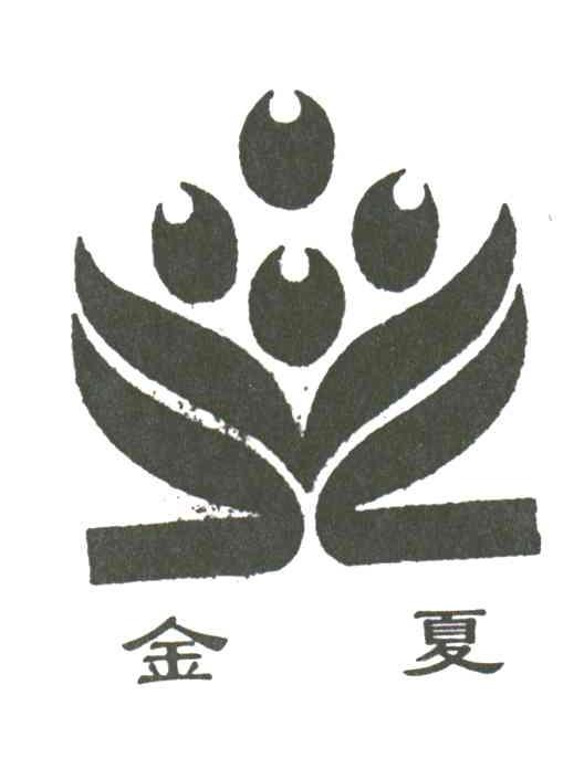金夏