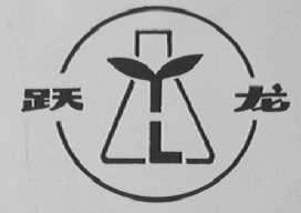 跃龙