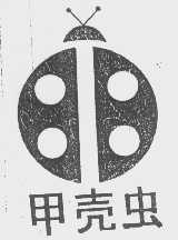 甲壳虫