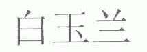 白玉兰