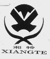 湘特