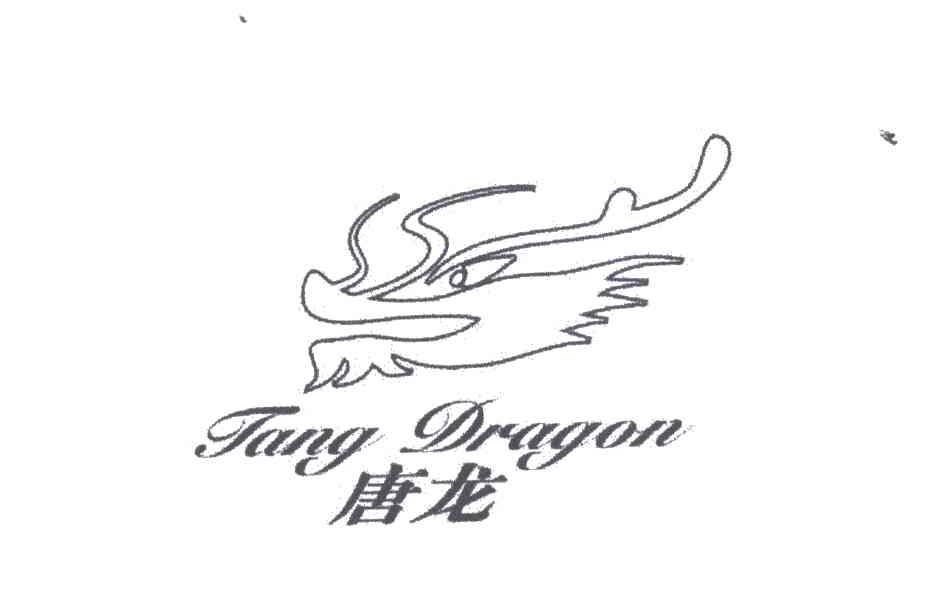唐龙 TANG DRAGON