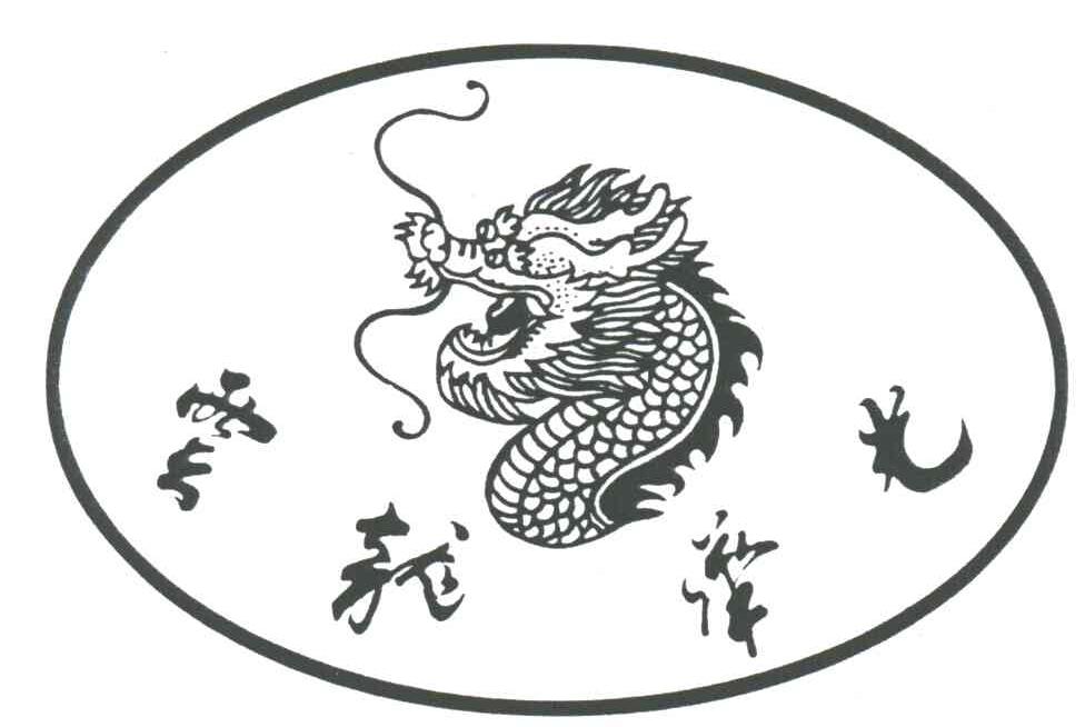 云龙华光及图