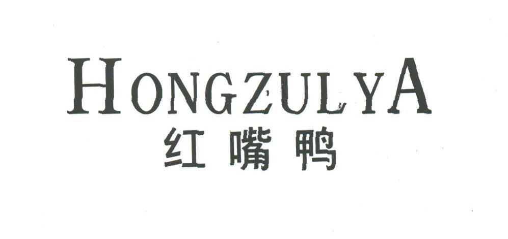 红嘴鸭;HONGZULYA