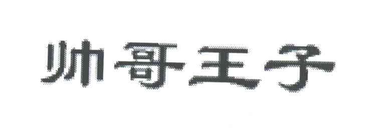 帅哥王子