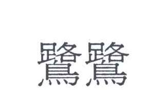 鹭鹭