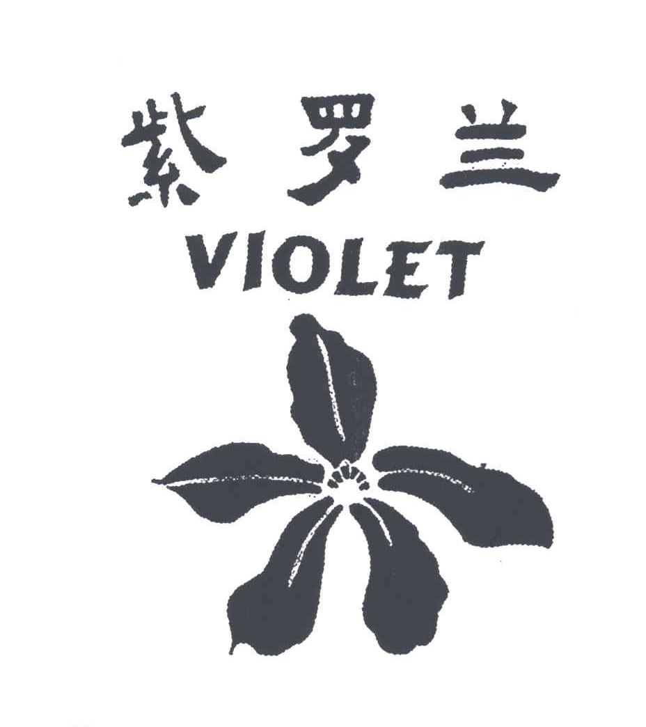 紫罗兰