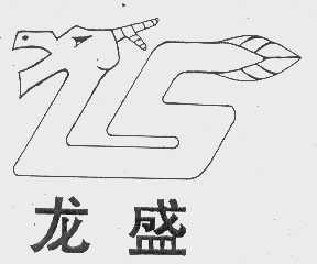 龙盛