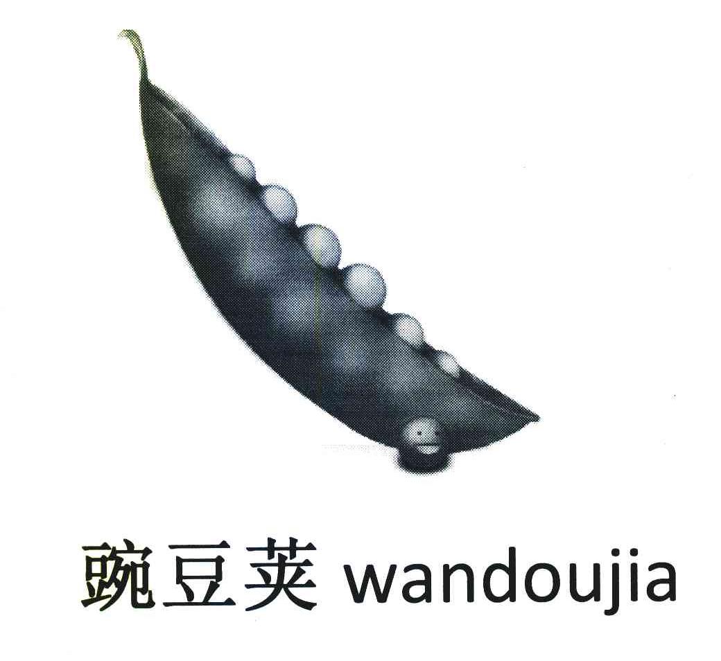 豌豆荚