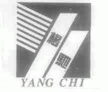 杨驰