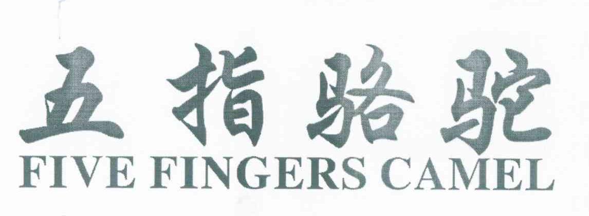 五指骆驼 FIVE FINGERS CAMEL