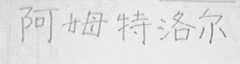 阿姆特洛尔