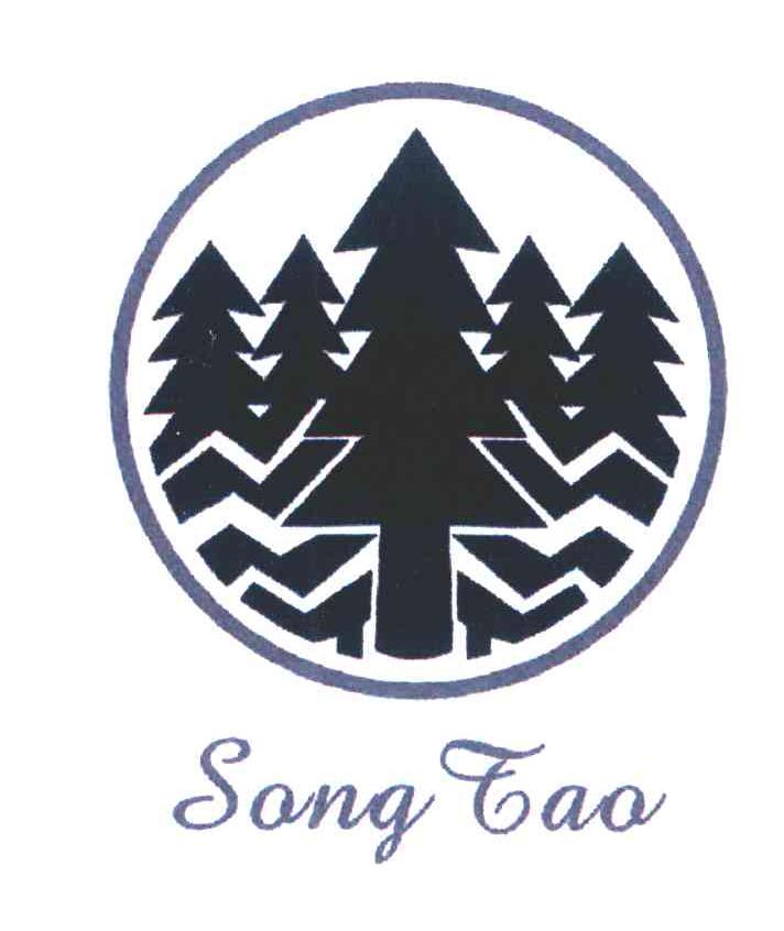SONG TAO