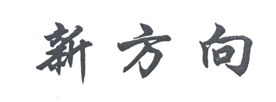 新方向