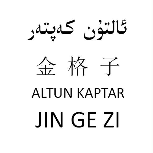金格子 ALTUN KAPTAR