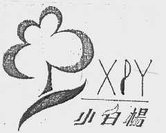小白杨