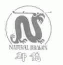 野龙;NATURAL DRAGON