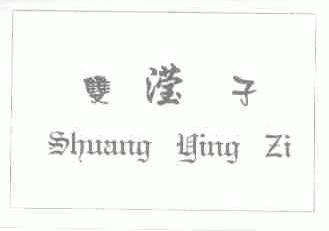 双滢子