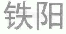 铁阳