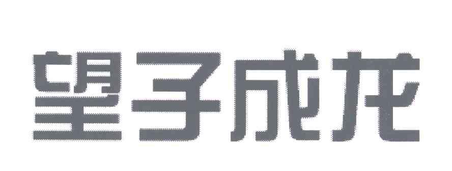 望子成龙