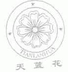 天蓝花