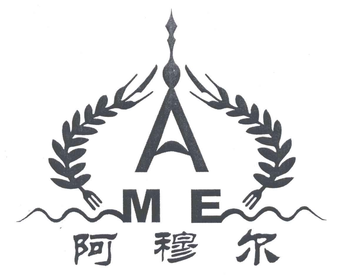 阿穆尔;AME