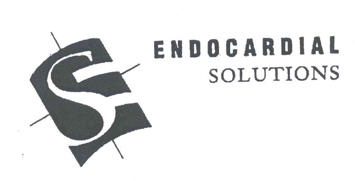 ENDOCARDIAL SOLUTIONS
