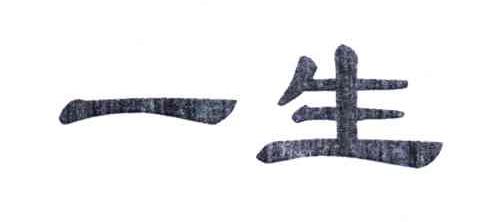 一生