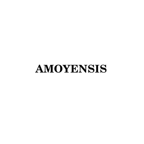 AMOYENSIS