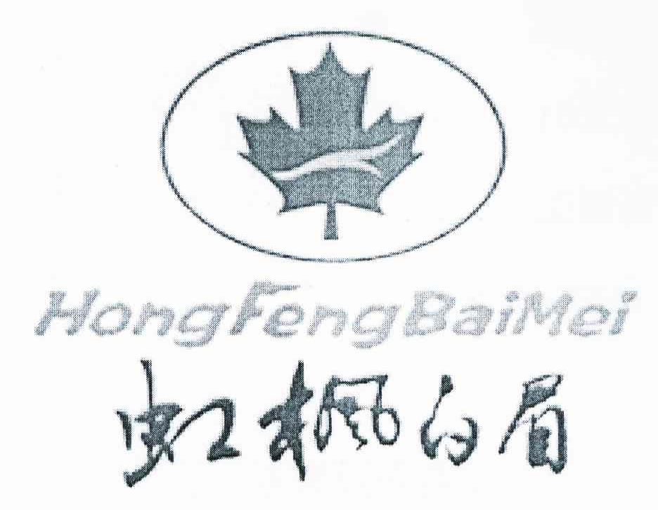 虹枫白眉