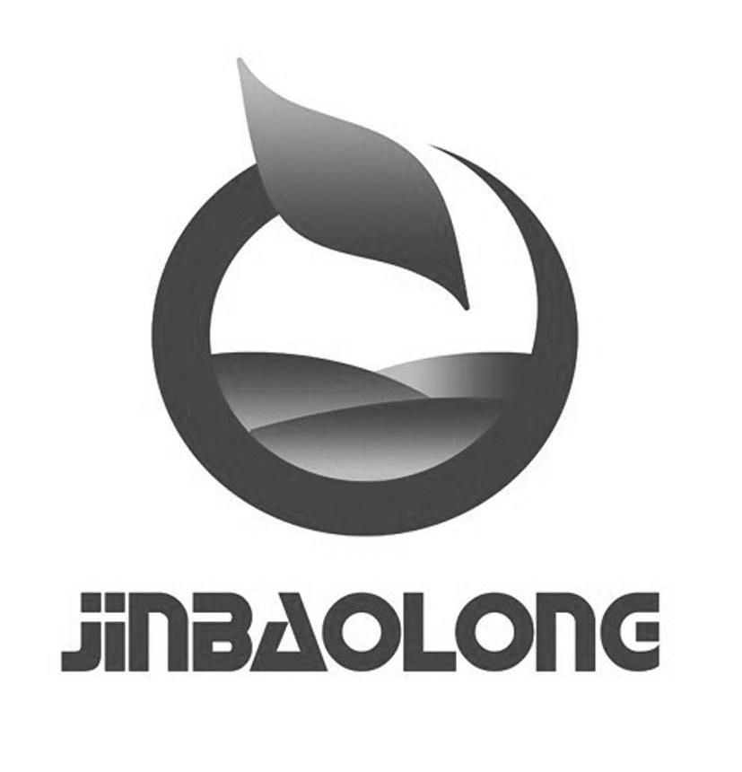 JINBAOLONG