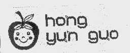 HONG YUN GUO