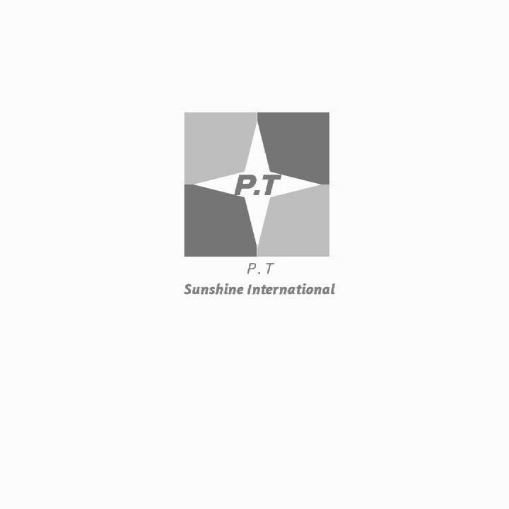 P.T SUNSHINE INTERNATIONAL