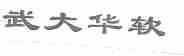 武大华软