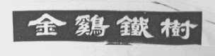 金鸡铁树