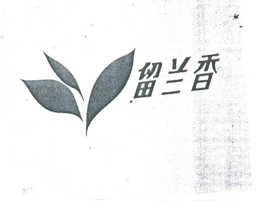 留兰香