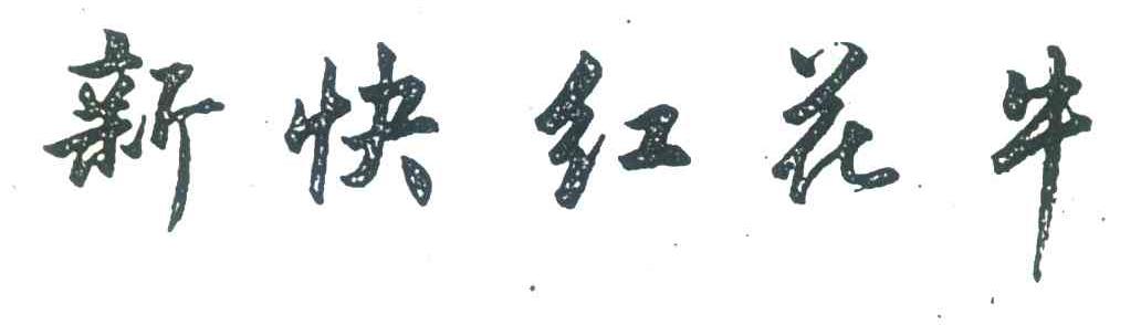 新快红花牛