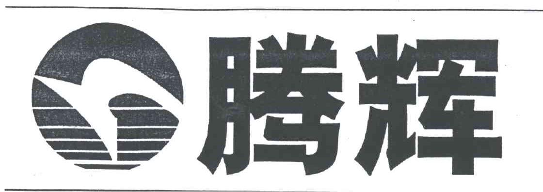 腾辉